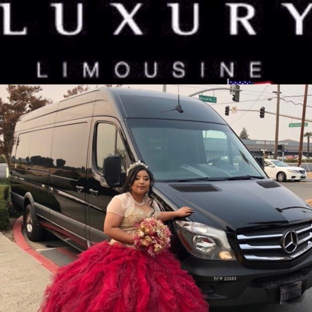 Service vehicle for Luxury Limousine Service