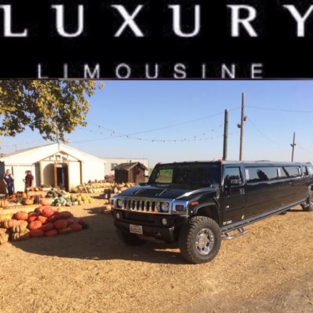 Service vehicle for Luxury Limousine Service